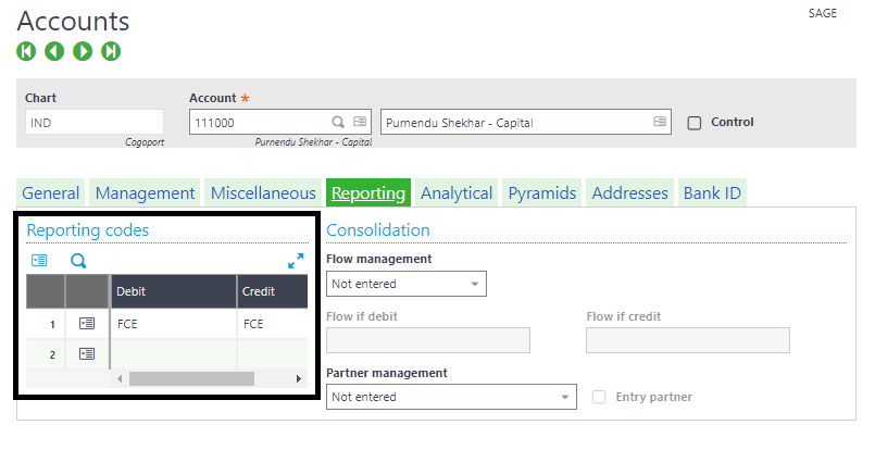 Financial Data Extraction Using Reporting Codes