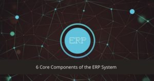 6-Core-Components-of-the-ERP-System