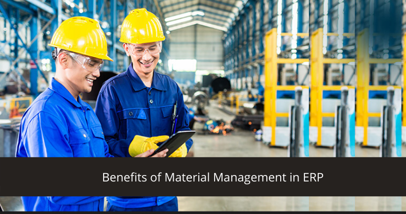 ERP Material Management