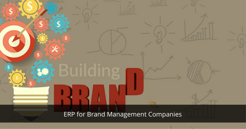 ERP for Brand Management Companies