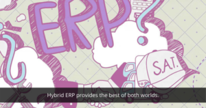 Hybrid ERP