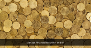 Manage Financial Risk with an ERP