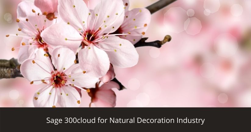 Sage 300cloud for Natural Decoration Industry