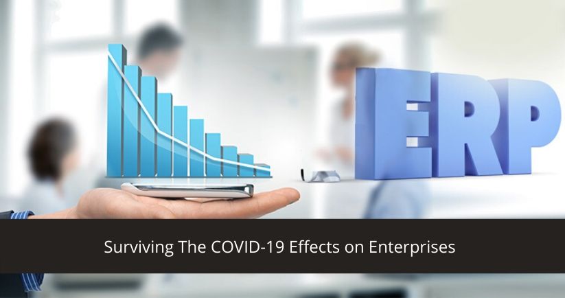 COVID-19 Effects on Enterprises