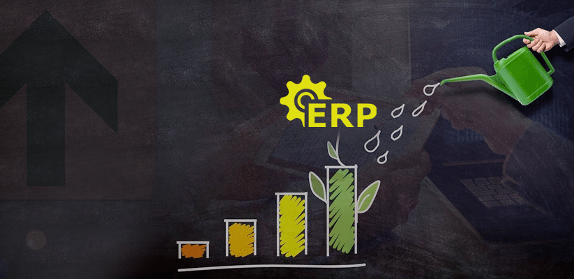 How-can-ERP-applications-help-financial-services-firms-drive-sustainable-growth