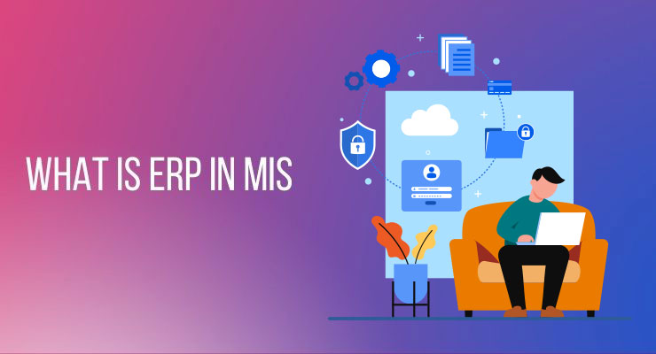 What is ERP in mis