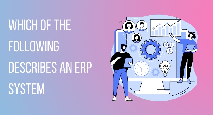 Which of the following describes an ERP system
