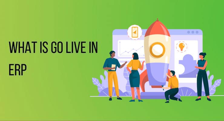 What is go live in ERP