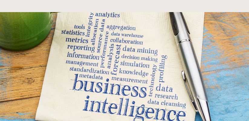 Business intelligence software