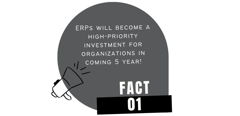 ERP software