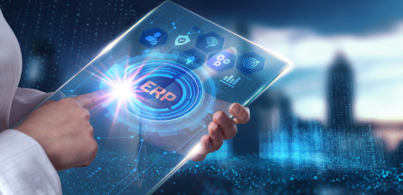 ERP Customization