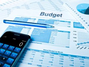 purchase order management software helps to manage budgets and save costs