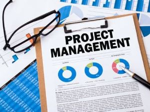 project & element management