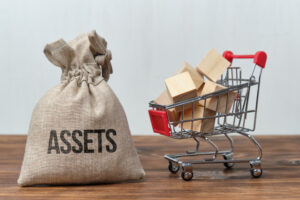 asset management software