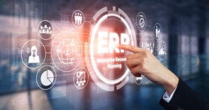 erp customization