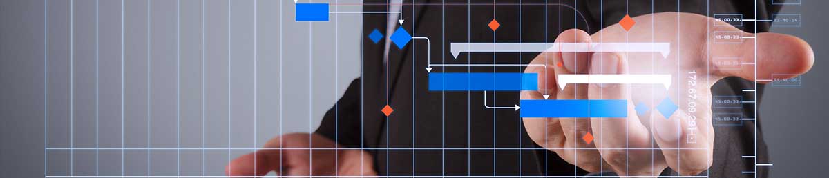 dashboards and visual processes of food erp software