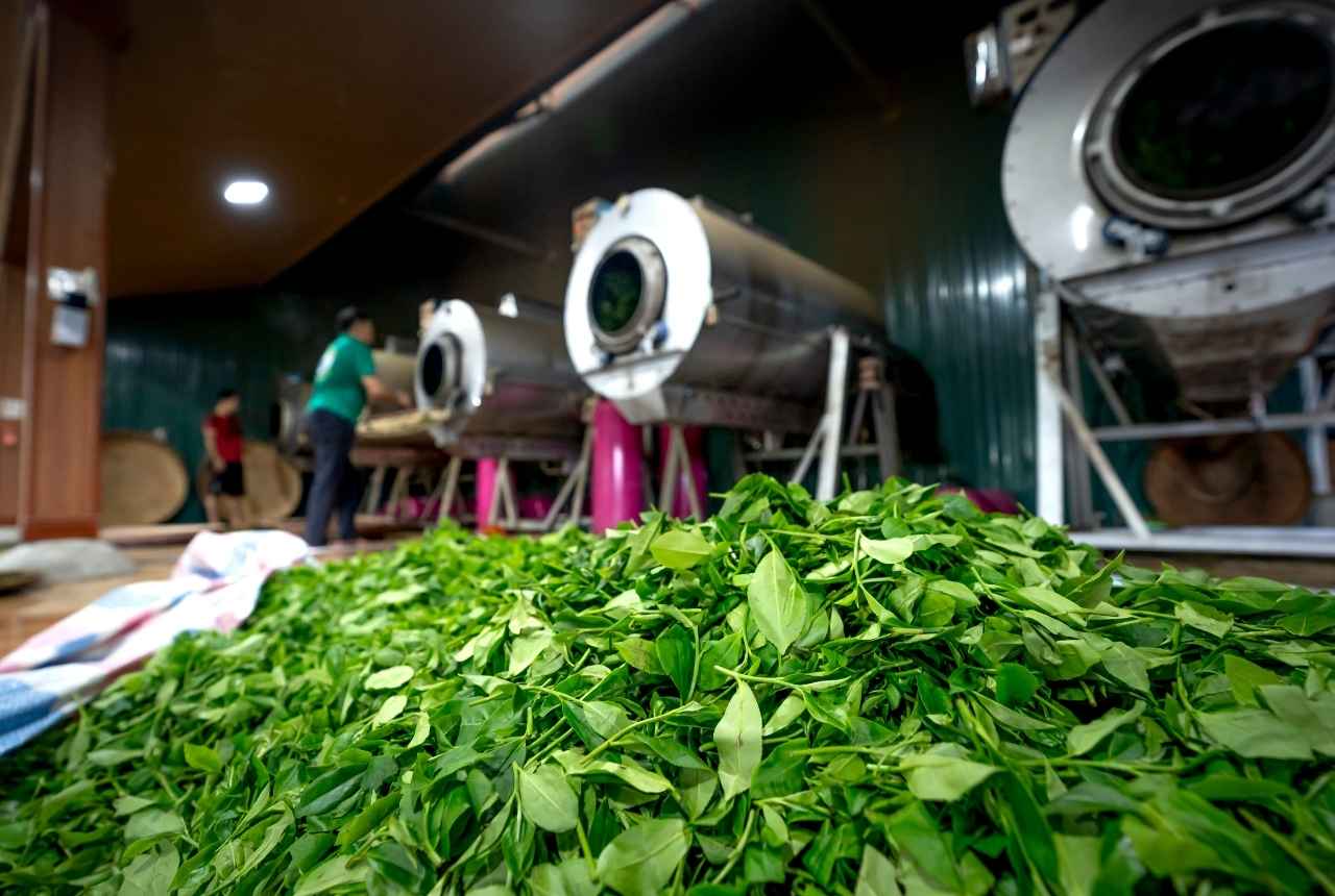 ERP for Tea Industry