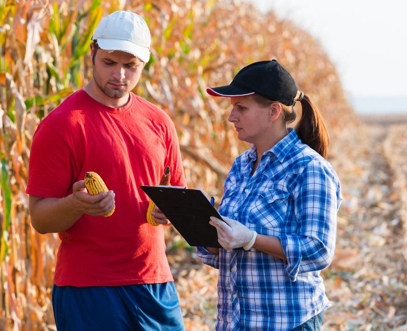 The Pressure of Delivering Best Quality of Food