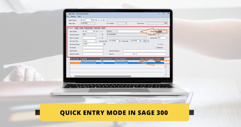 Quick Entry Mode in Sage 300