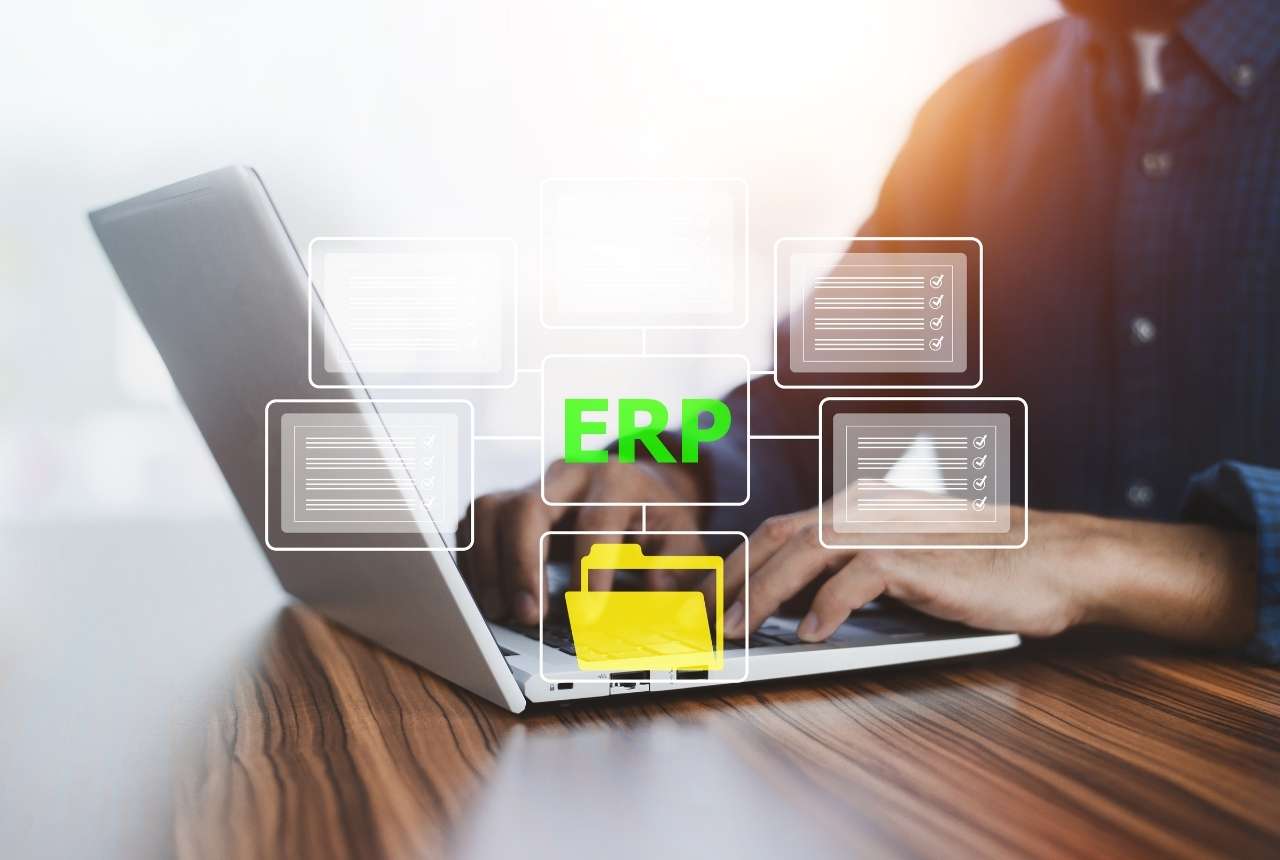 Types of ERP