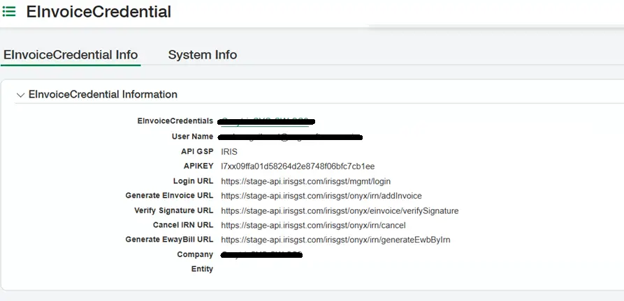 E-Invoice credentials