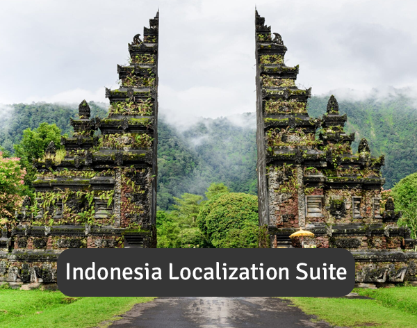 Indonesia Localization Suite for Sage Intacct