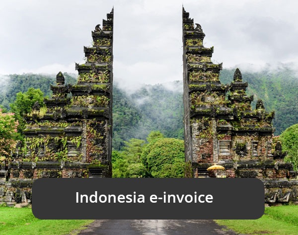 Sage Intacct for Indonesia e-invoice